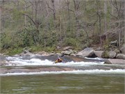 Wilsons Creek 27
